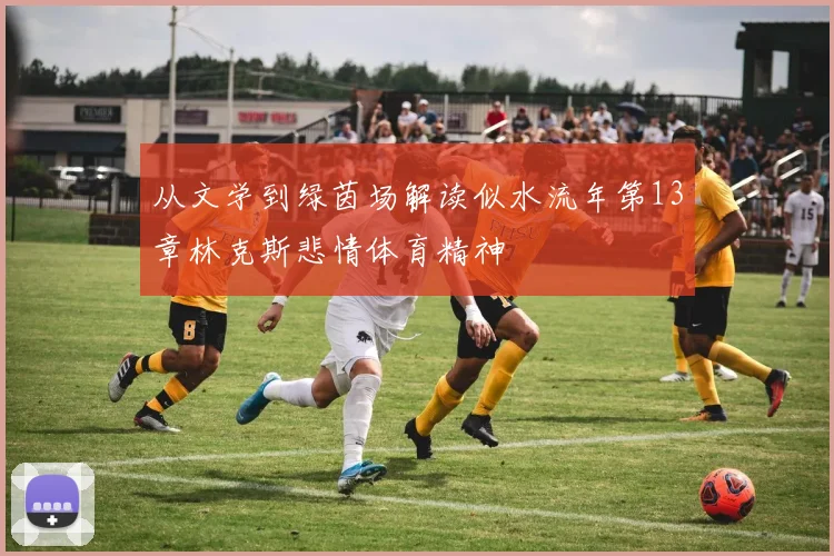 从文学到绿茵场解读似水流年第13章林克斯悲情体育精神