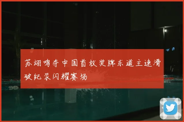 苏翊鸣夺中国首枚奖牌东道主速滑破纪录闪耀赛场