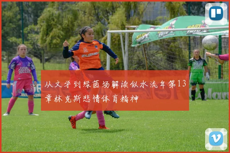 从文学到绿茵场解读似水流年第13章林克斯悲情体育精神