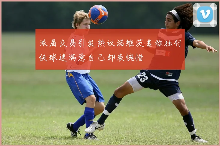 浓眉交易引发热议诺维茨基称独行侠球迷满意自己却表惋惜