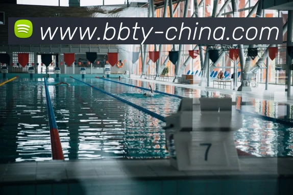 BB体育 - 打造最受球迷欢迎的综合体育新闻资讯平台发展历程